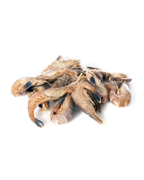Crevettes grises