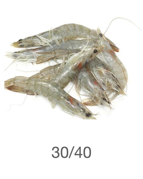 crevettes crues - 30/40
