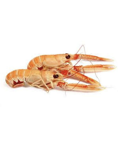 Langoustines - cuîtes