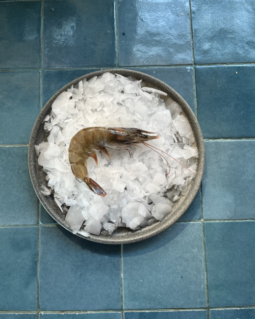 crevettes crues - 30/40