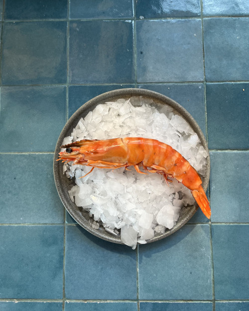 Crevettes sauvages - U15 - cuîtes
