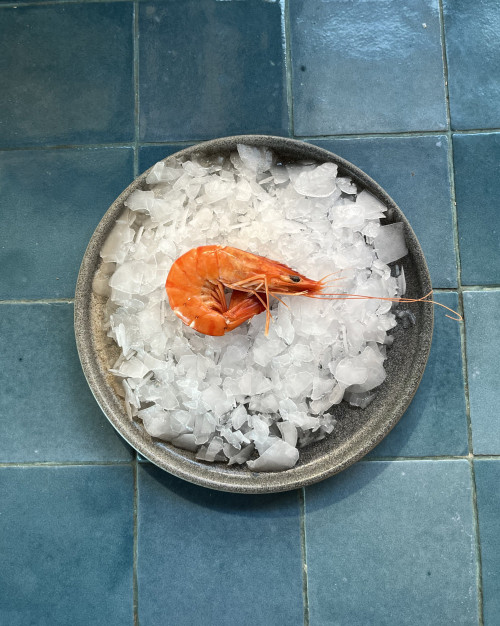 Crevettes Madagascar - 30/40 - LR