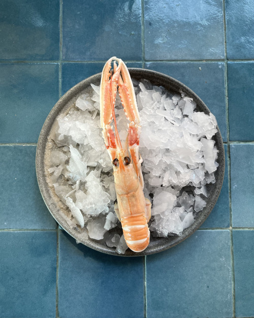 Langoustines - cuîtes